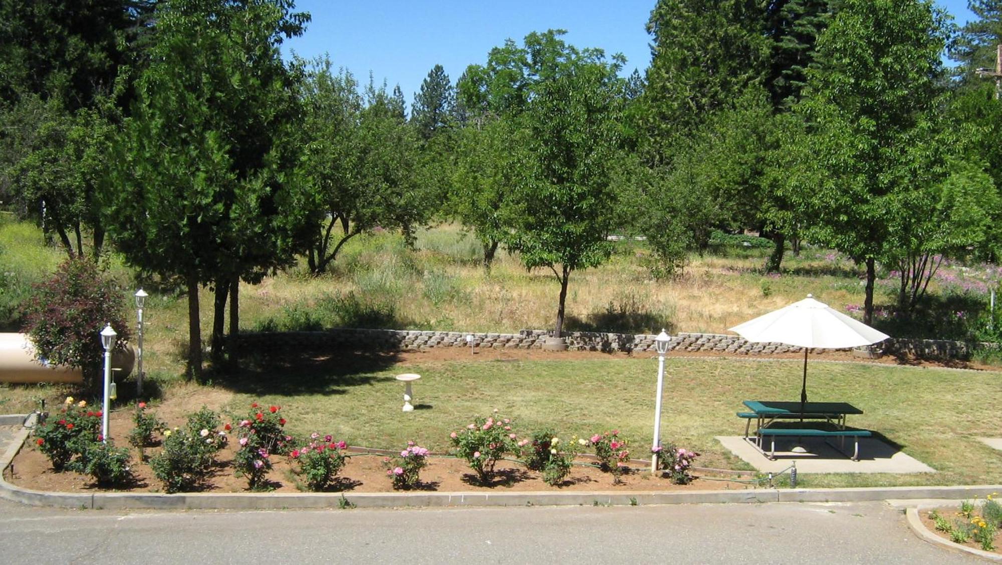 Westhaven Inn Pollock Pines Room photo