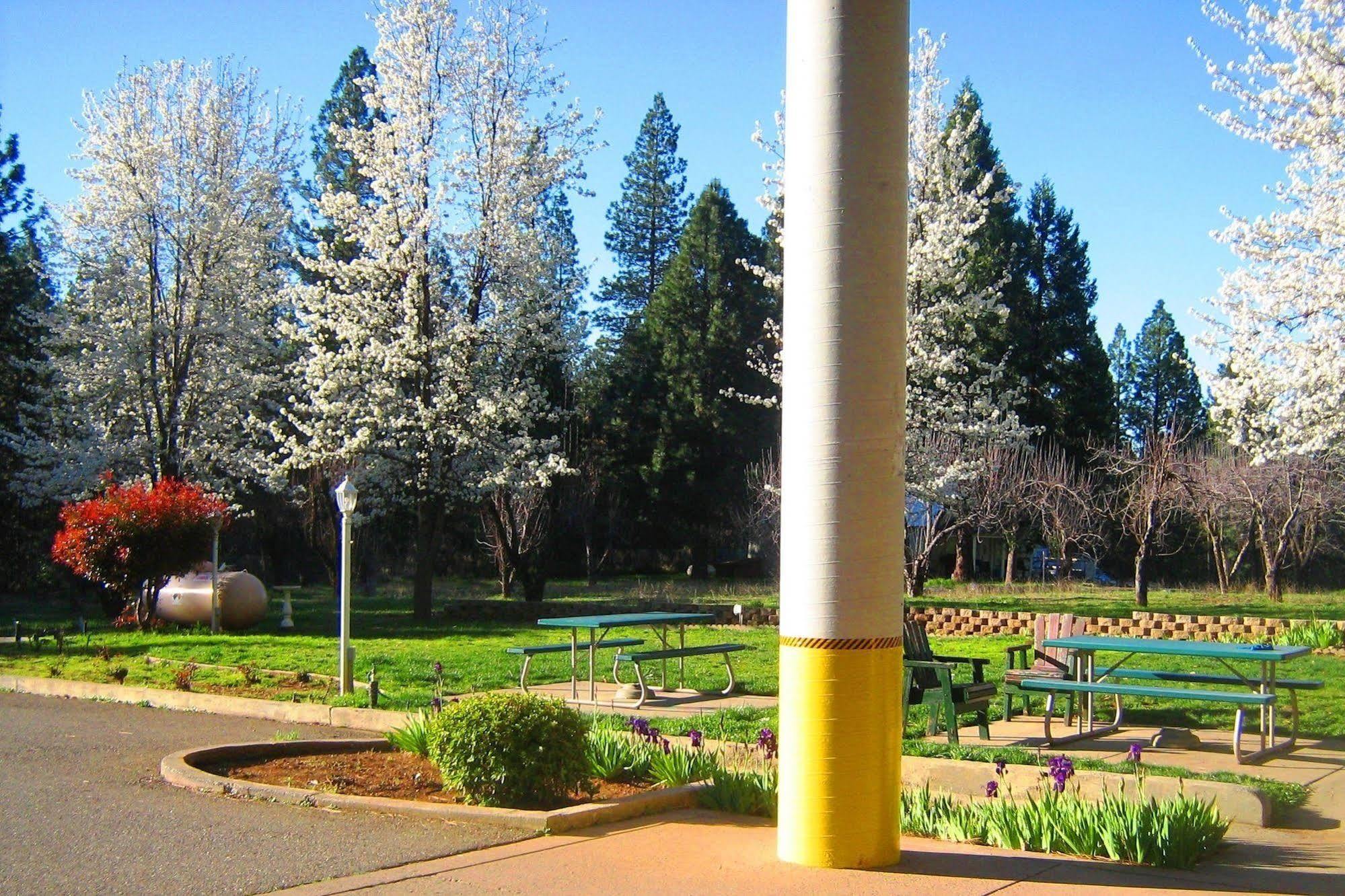 Westhaven Inn Pollock Pines Exterior photo